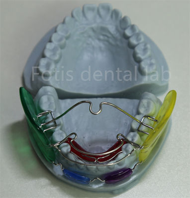 Good price Dental Lab Orthodontic Palatal Expander Versatile and Effective for Teeth Alignment online